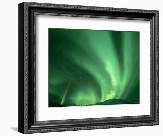Northern Lights, Arctic National Wildlife Refuge, Alaska USA-Steve Kazlowski-Framed Photographic Print