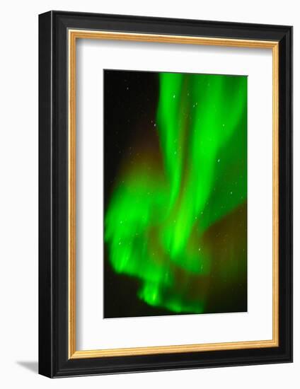 Northern Lights (Aurora Borealis), Churchill, Hudson Bay, Manitoba, Canada, North America-Bhaskar Krishnamurthy-Framed Photographic Print