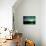 Northern Lights, Aurora Borealis, River-Lindsay Daniels-Photographic Print displayed on a wall