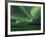 Northern Lights, Aurora Borealis, Winter Road With Snow, Iceland-Peter Adams-Framed Photographic Print