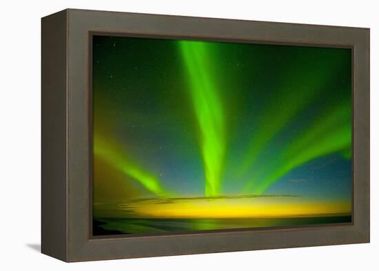 Northern Lights, Beaufort Sea, ANWR, Alaska, USA-Steve Kazlowski-Framed Premier Image Canvas