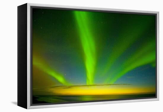 Northern Lights, Beaufort Sea, ANWR, Alaska, USA-Steve Kazlowski-Framed Premier Image Canvas