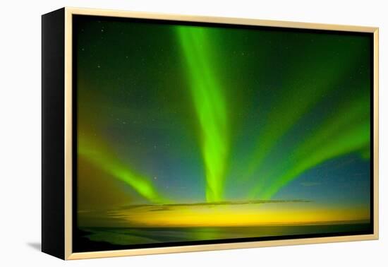 Northern Lights, Beaufort Sea, ANWR, Alaska, USA-Steve Kazlowski-Framed Premier Image Canvas