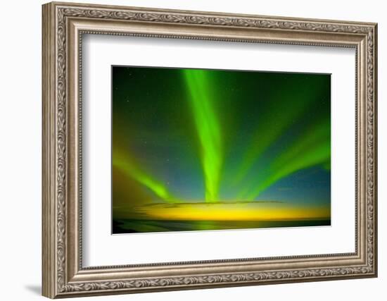 Northern Lights, Beaufort Sea, ANWR, Alaska, USA-Steve Kazlowski-Framed Photographic Print