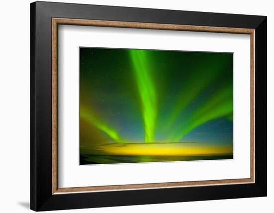 Northern Lights, Beaufort Sea, ANWR, Alaska, USA-Steve Kazlowski-Framed Photographic Print