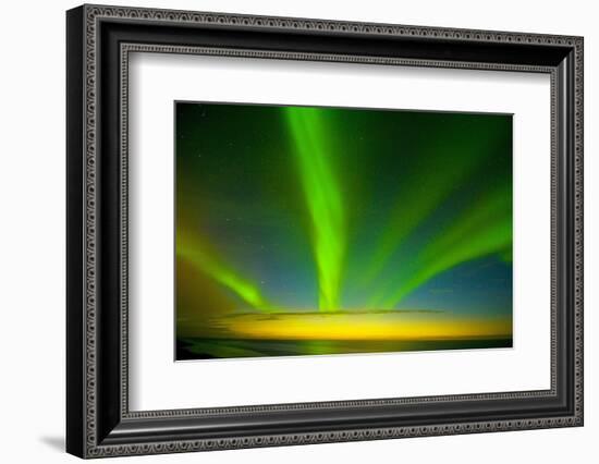 Northern Lights, Beaufort Sea, ANWR, Alaska, USA-Steve Kazlowski-Framed Photographic Print