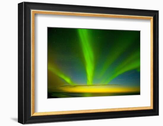 Northern Lights, Beaufort Sea, ANWR, Alaska, USA-Steve Kazlowski-Framed Photographic Print