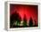 Northern Lights Glow-null-Framed Premier Image Canvas