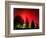 Northern Lights Glow-null-Framed Photographic Print