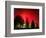 Northern Lights Glow-null-Framed Photographic Print