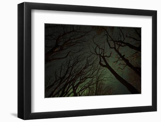 Northern Lights in Forest in Iceland-Niki Haselwanter-Framed Photographic Print