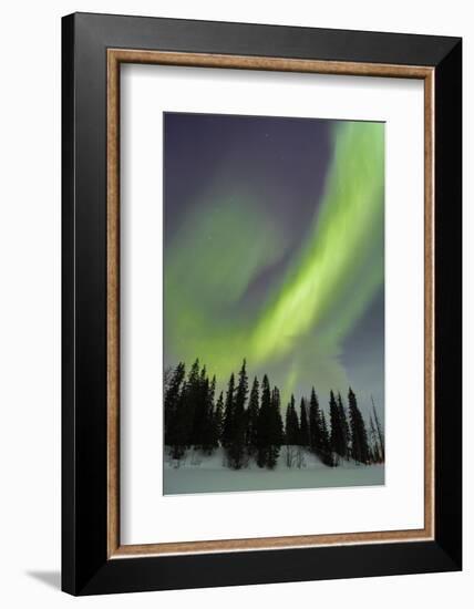 Northern Lights in Winter, Aurora Borealis, PyhŠ-Luosto National Park, Luosto, Lapland, Finland-P. Kaczynski-Framed Photographic Print