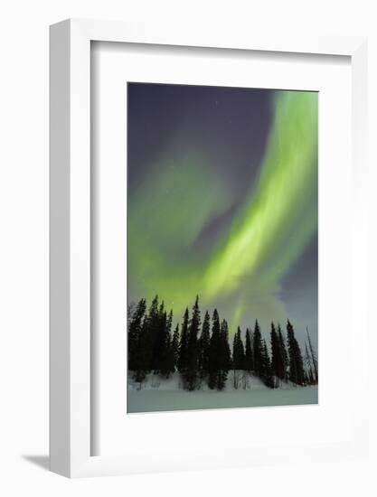 Northern Lights in Winter, Aurora Borealis, PyhŠ-Luosto National Park, Luosto, Lapland, Finland-P. Kaczynski-Framed Photographic Print