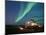 Northern Lights, North Slope of Brooks Range, USA-Steve Kazlowski-Mounted Photographic Print