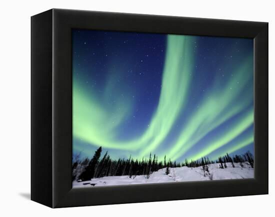 Northern Lights Northwest Territories, March 2008, Canada-Eric Baccega-Framed Premier Image Canvas