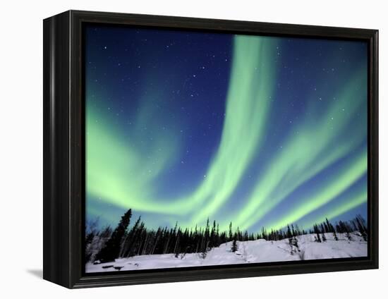 Northern Lights Northwest Territories, March 2008, Canada-Eric Baccega-Framed Premier Image Canvas