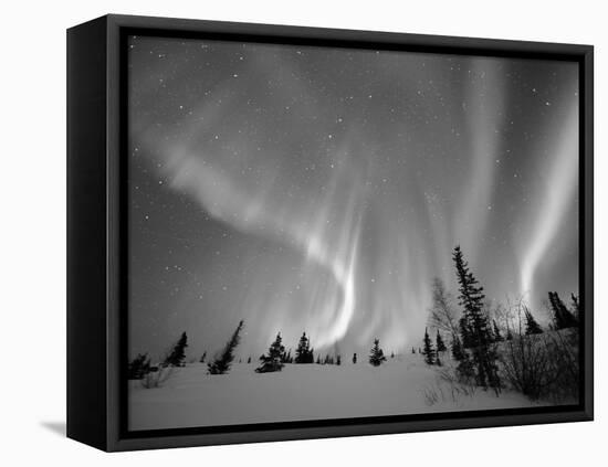 Northern Lights Northwest Territories, March 2008, Canada-Eric Baccega-Framed Premier Image Canvas