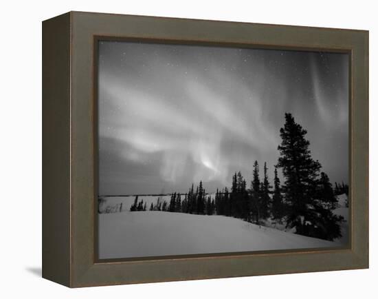 Northern Lights Northwest Territories, March 2008, Canada-Eric Baccega-Framed Premier Image Canvas