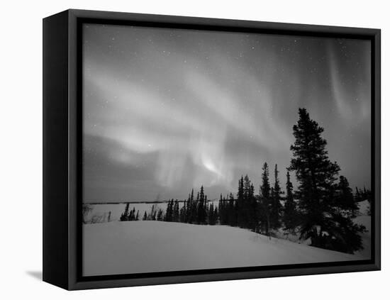Northern Lights Northwest Territories, March 2008, Canada-Eric Baccega-Framed Premier Image Canvas