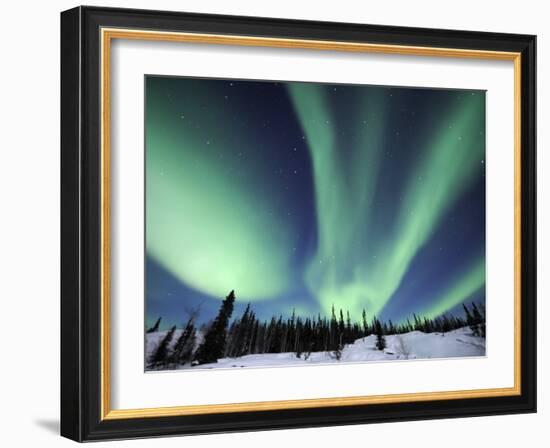 Northern Lights Northwest Territories, March 2008, Canada-Eric Baccega-Framed Photographic Print