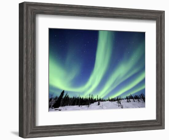 Northern Lights Northwest Territories, March 2008, Canada-Eric Baccega-Framed Photographic Print