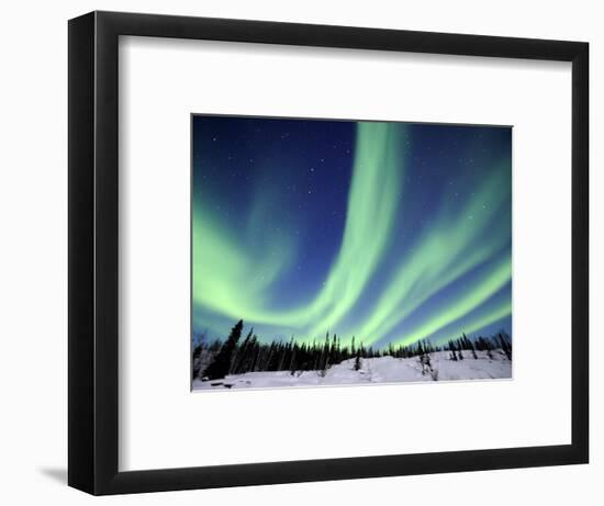 Northern Lights Northwest Territories, March 2008, Canada-Eric Baccega-Framed Photographic Print