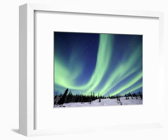 Northern Lights Northwest Territories, March 2008, Canada-Eric Baccega-Framed Photographic Print