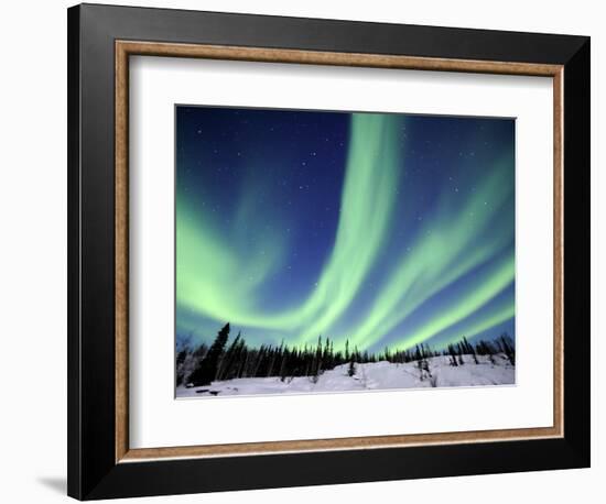 Northern Lights Northwest Territories, March 2008, Canada-Eric Baccega-Framed Photographic Print