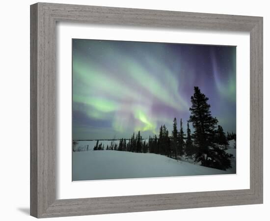 Northern Lights Northwest Territories, March 2008, Canada-Eric Baccega-Framed Photographic Print