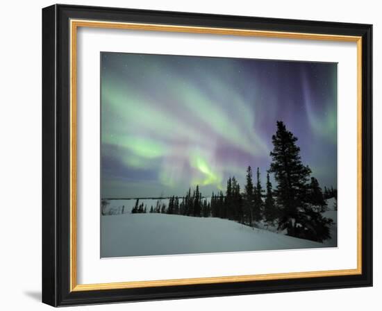 Northern Lights Northwest Territories, March 2008, Canada-Eric Baccega-Framed Photographic Print