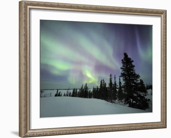 Northern Lights Northwest Territories, March 2008, Canada-Eric Baccega-Framed Photographic Print