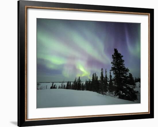 Northern Lights Northwest Territories, March 2008, Canada-Eric Baccega-Framed Photographic Print