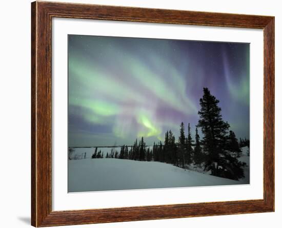 Northern Lights Northwest Territories, March 2008, Canada-Eric Baccega-Framed Photographic Print