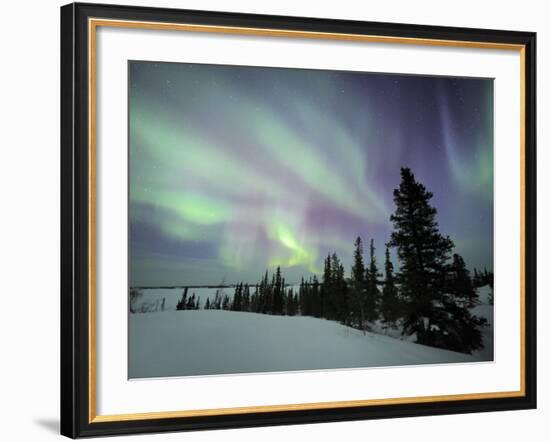 Northern Lights Northwest Territories, March 2008, Canada-Eric Baccega-Framed Photographic Print