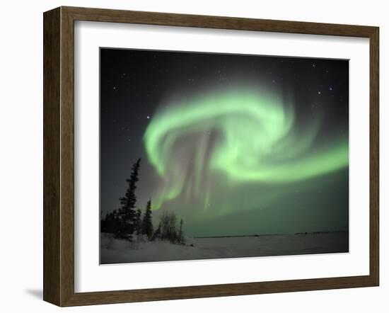 Northern Lights Northwest Territories, March 2008, Canada-Eric Baccega-Framed Photographic Print