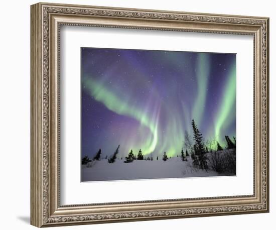 Northern Lights Northwest Territories, March 2008, Canada-Eric Baccega-Framed Photographic Print