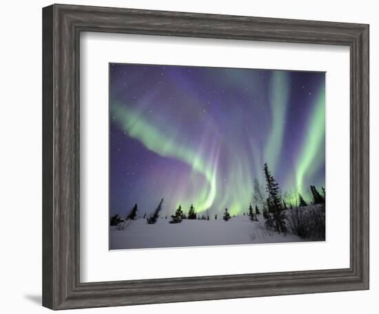 Northern Lights Northwest Territories, March 2008, Canada-Eric Baccega-Framed Photographic Print