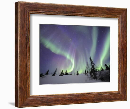 Northern Lights Northwest Territories, March 2008, Canada-Eric Baccega-Framed Photographic Print