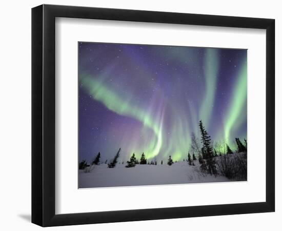 Northern Lights Northwest Territories, March 2008, Canada-Eric Baccega-Framed Photographic Print