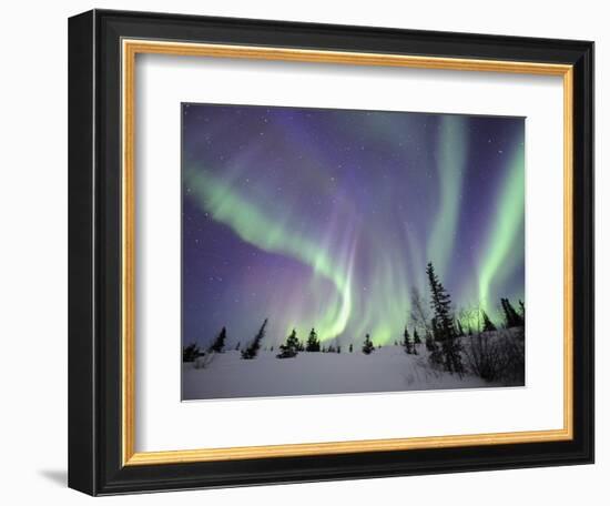 Northern Lights Northwest Territories, March 2008, Canada-Eric Baccega-Framed Photographic Print