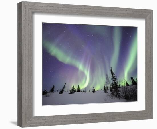 Northern Lights Northwest Territories, March 2008, Canada-Eric Baccega-Framed Photographic Print