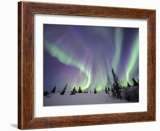 Northern Lights Northwest Territories, March 2008, Canada-Eric Baccega-Framed Photographic Print