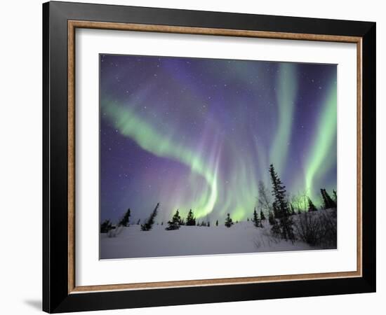 Northern Lights Northwest Territories, March 2008, Canada-Eric Baccega-Framed Photographic Print