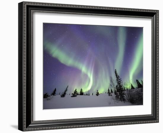 Northern Lights Northwest Territories, March 2008, Canada-Eric Baccega-Framed Photographic Print