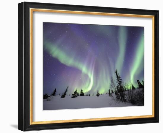 Northern Lights Northwest Territories, March 2008, Canada-Eric Baccega-Framed Photographic Print