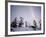 Northern Lights Northwest Territories, March 2008, Canada-Eric Baccega-Framed Photographic Print