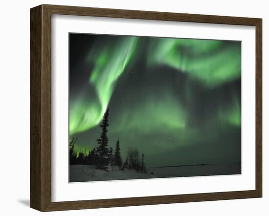 Northern Lights Northwest Territories, March 2008, Canada-Eric Baccega-Framed Photographic Print