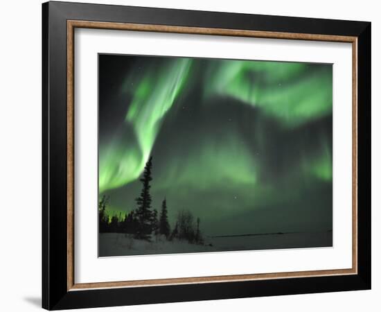 Northern Lights Northwest Territories, March 2008, Canada-Eric Baccega-Framed Photographic Print