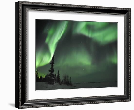 Northern Lights Northwest Territories, March 2008, Canada-Eric Baccega-Framed Photographic Print