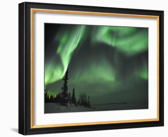 Northern Lights Northwest Territories, March 2008, Canada-Eric Baccega-Framed Photographic Print